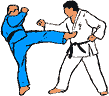 B4 · Mawashi Geri