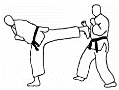 B5 · Ushiro Geri